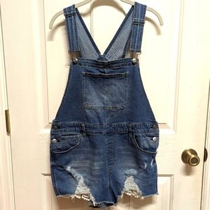 No Boundaries Denim Overalls
